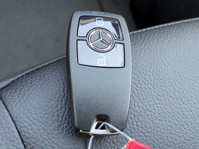 2025 Mercedes-Benz Sprinter Cargo Van Cargo 170 WB