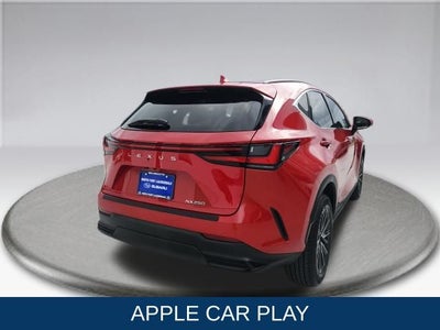 2024 Lexus NX 250 250 Base