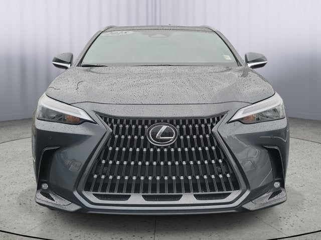 2025 Lexus NX NX 250 Premium