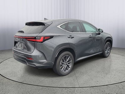 2025 Lexus NX NX 250 Premium