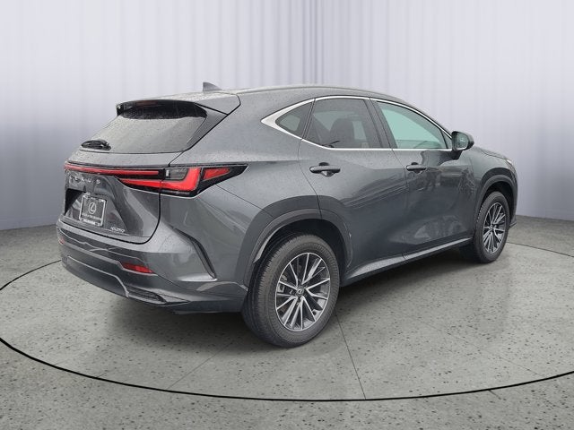 2025 Lexus NX NX 250 Premium