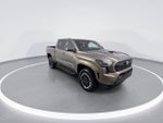 2024 Toyota Tacoma 2WD TRD Sport