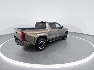 2024 Toyota Tacoma 2WD TRD Sport