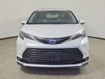 2025 Toyota Sienna XLE 8 Passenger