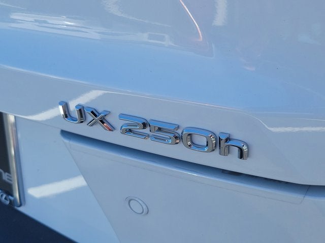 2024 Lexus UX 250h F SPORT Handling