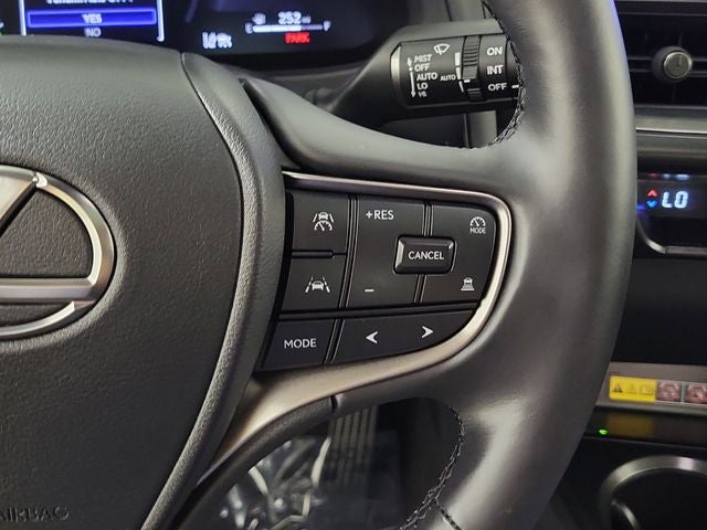 2025 Lexus UX 300h Premium