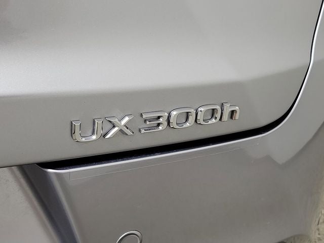 2025 Lexus UX 300h Premium