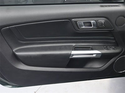 2019 Ford Mustang Bullitt