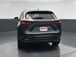 2024 Lexus NX 250 Premium