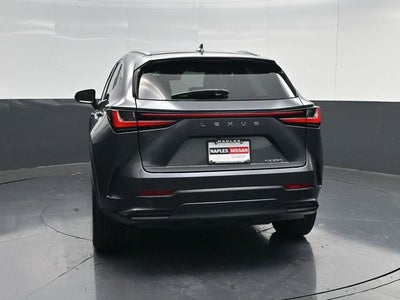 2024 Lexus NX 250 Premium