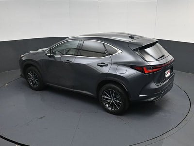 2024 Lexus NX 250 Premium