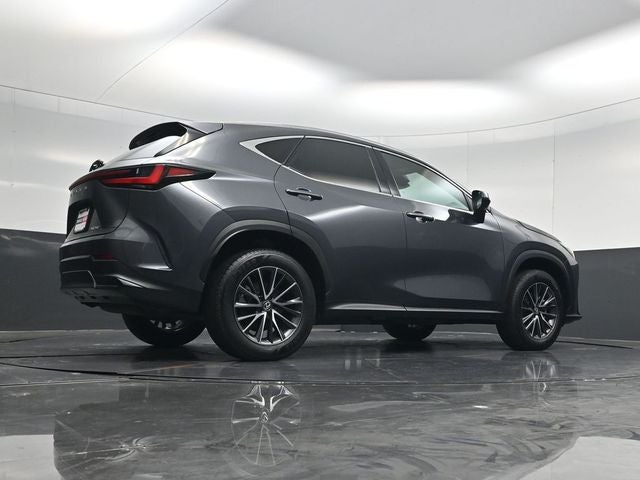 2024 Lexus NX 250 Premium