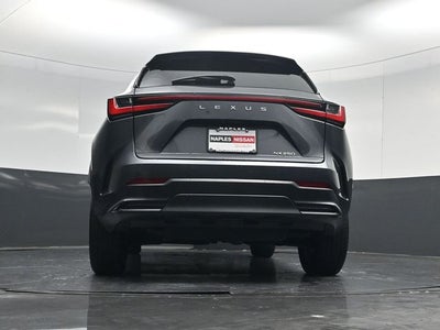 2024 Lexus NX 250 Premium