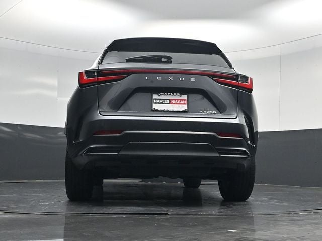 2024 Lexus NX 250 Premium