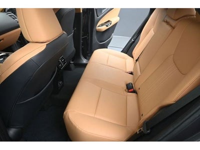 2024 Lexus NX 250 Premium