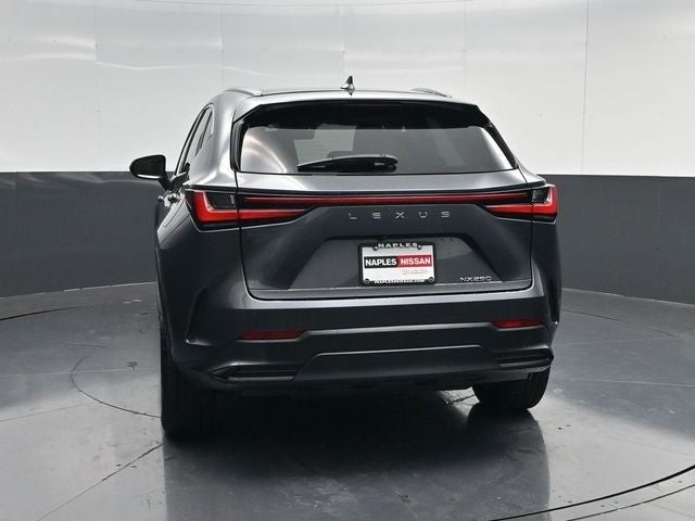 2024 Lexus NX 250 Premium