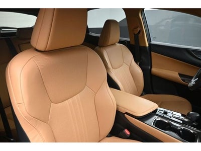 2024 Lexus NX 250 Premium