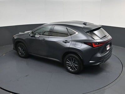 2024 Lexus NX 250 Premium