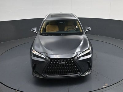 2024 Lexus NX 250 Premium