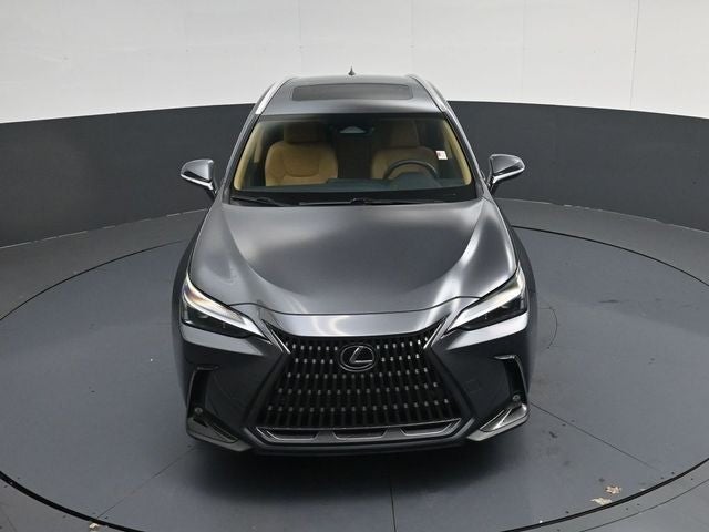 2024 Lexus NX 250 Premium