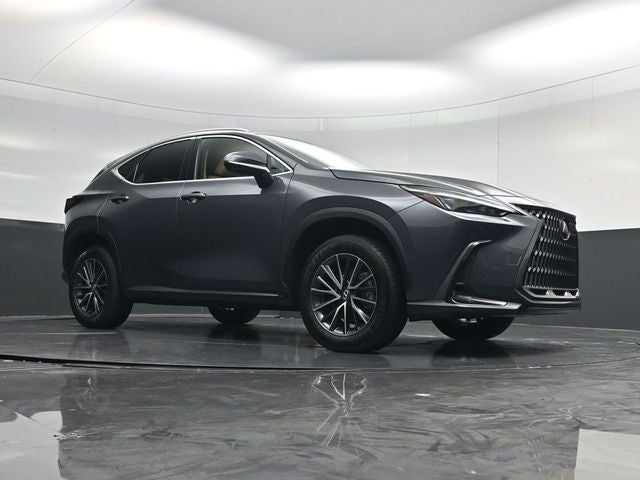 2024 Lexus NX 250 Premium