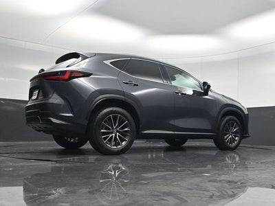 2024 Lexus NX 250 Premium