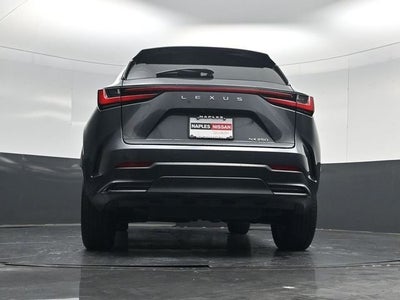 2024 Lexus NX 250 Premium