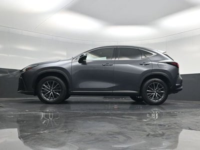 2024 Lexus NX 250 Premium