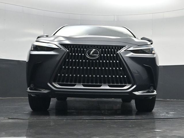 2024 Lexus NX 250 Premium