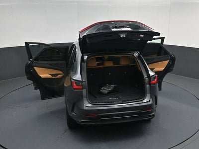 2024 Lexus NX 250 Premium