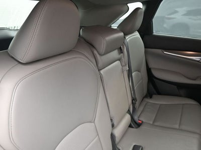 2023 INFINITI QX50 LUXE