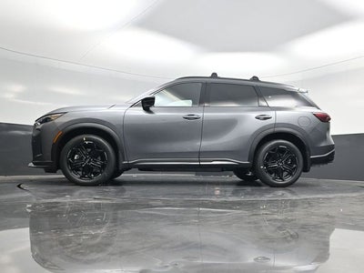 2026 INFINITI QX60 SPORT
