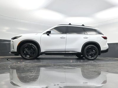 2026 INFINITI QX60 SPORT