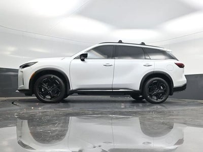 2026 INFINITI QX60 SPORT