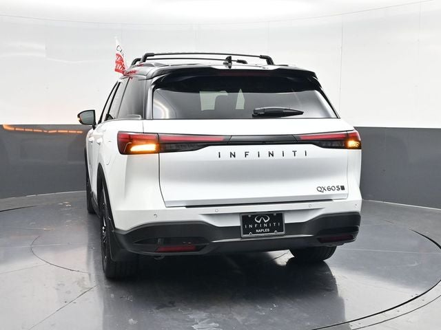 2026 INFINITI QX60 SPORT