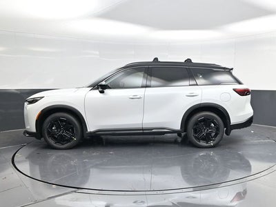2026 INFINITI QX60 SPORT
