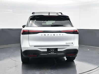 2026 INFINITI QX60 SPORT