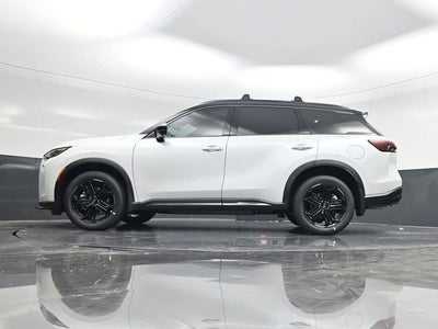 2026 INFINITI QX60 SPORT