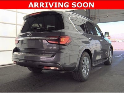 2024 INFINITI QX80 LUXE