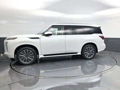 2026 INFINITI QX80 LUXE