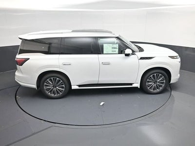 2026 INFINITI QX80 LUXE