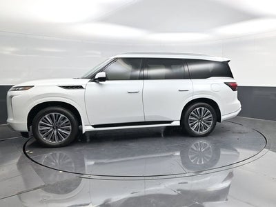 2026 INFINITI QX80 LUXE