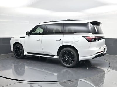 2026 INFINITI QX80 SPORT