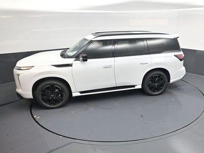 2026 INFINITI QX80 SPORT