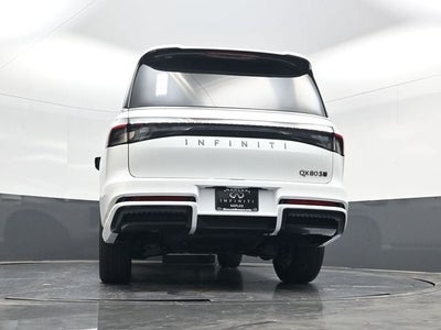 2026 INFINITI QX80 SPORT