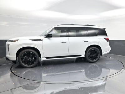 2026 INFINITI QX80 SPORT
