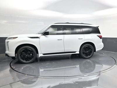 2026 INFINITI QX80 SPORT