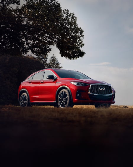 Naples INFINITI in Naples FL