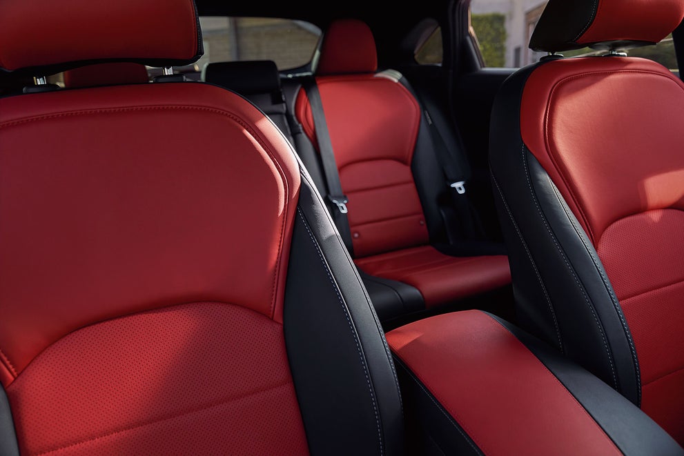 2024 INFINITI QX55 | Naples INFINITI in Naples FL